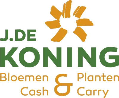 J. de Koning